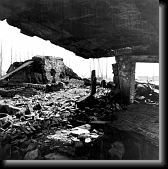 Auschwitz II-Birkenau. Ruins of the gas chamber and crematorium II * 760 x 764 * (99KB)